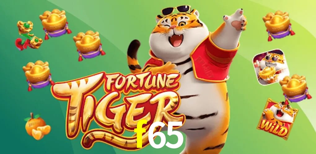 Player Reviews f65